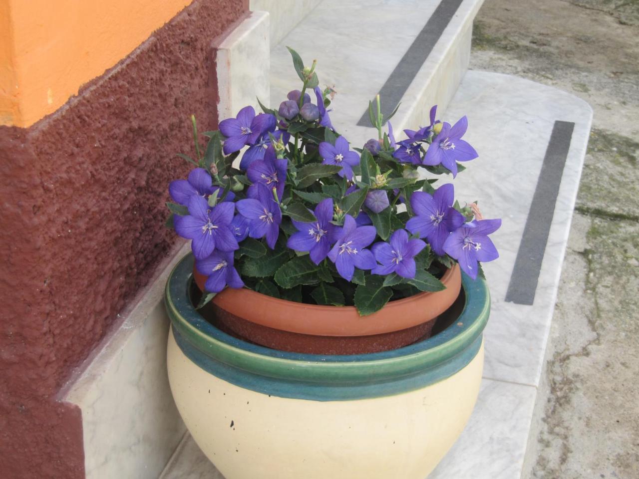 Bed and Breakfast Montagne Rocciose Frascineto Exterior foto
